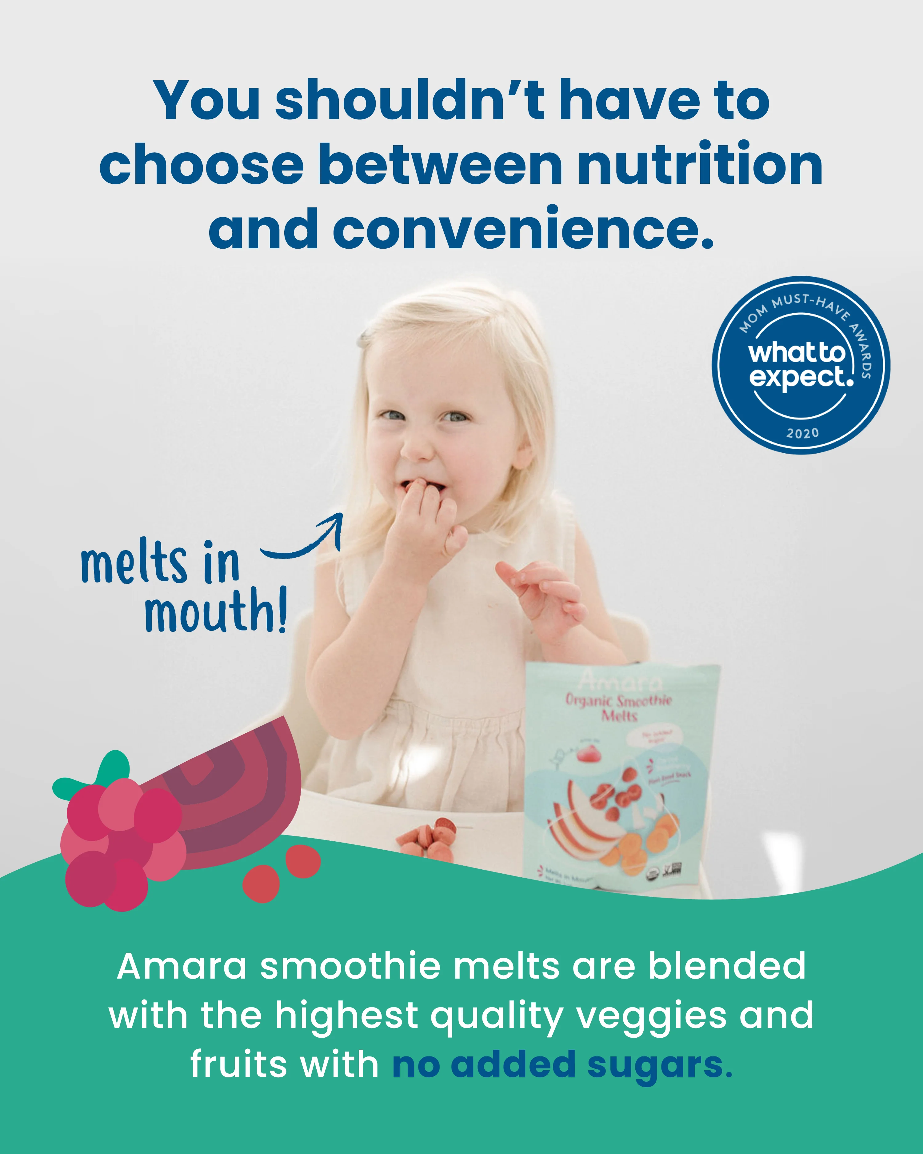 Sampler Smoothie Melts Snack Variety Pack - Image 4